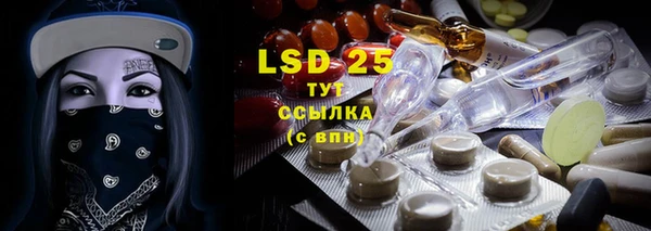 PSILOCYBIN Заводоуковск