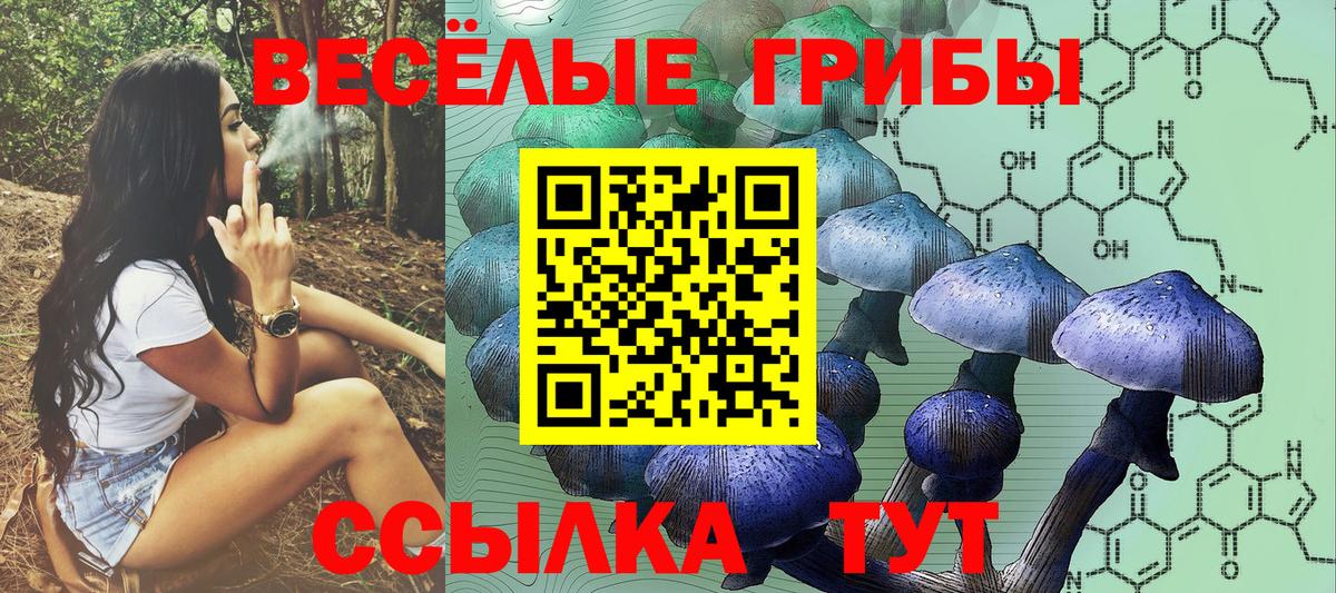 Псилоцибиновые грибы мухоморы Беслан