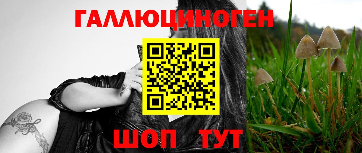 Галлюциногенные грибы Psilocybine cubensis  Беслан 