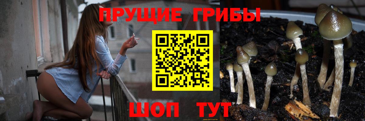 Галлюциногенные грибы прущие грибы  Вход с VPN  Беслан 